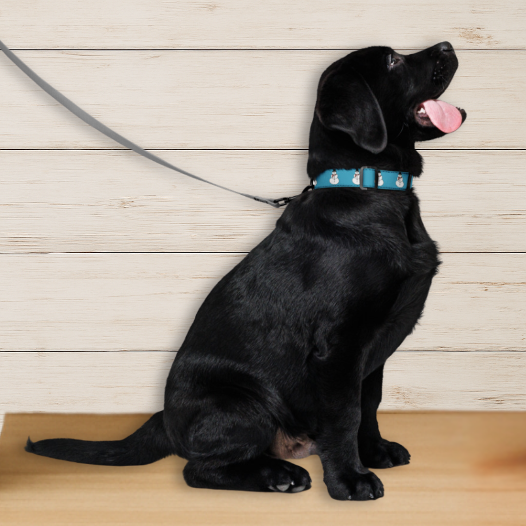 Snowman Dog Collar