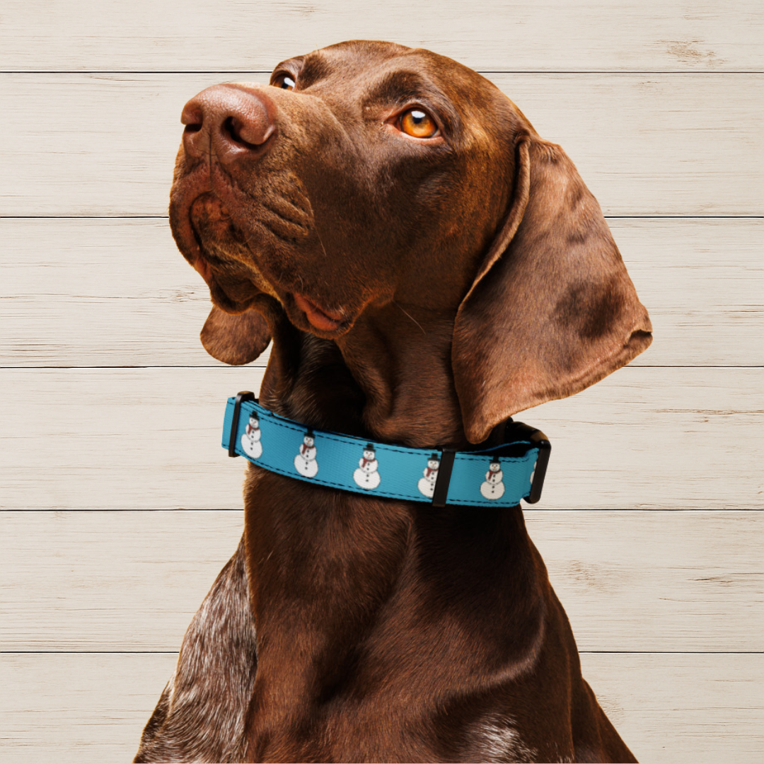 Snowman Dog Collar
