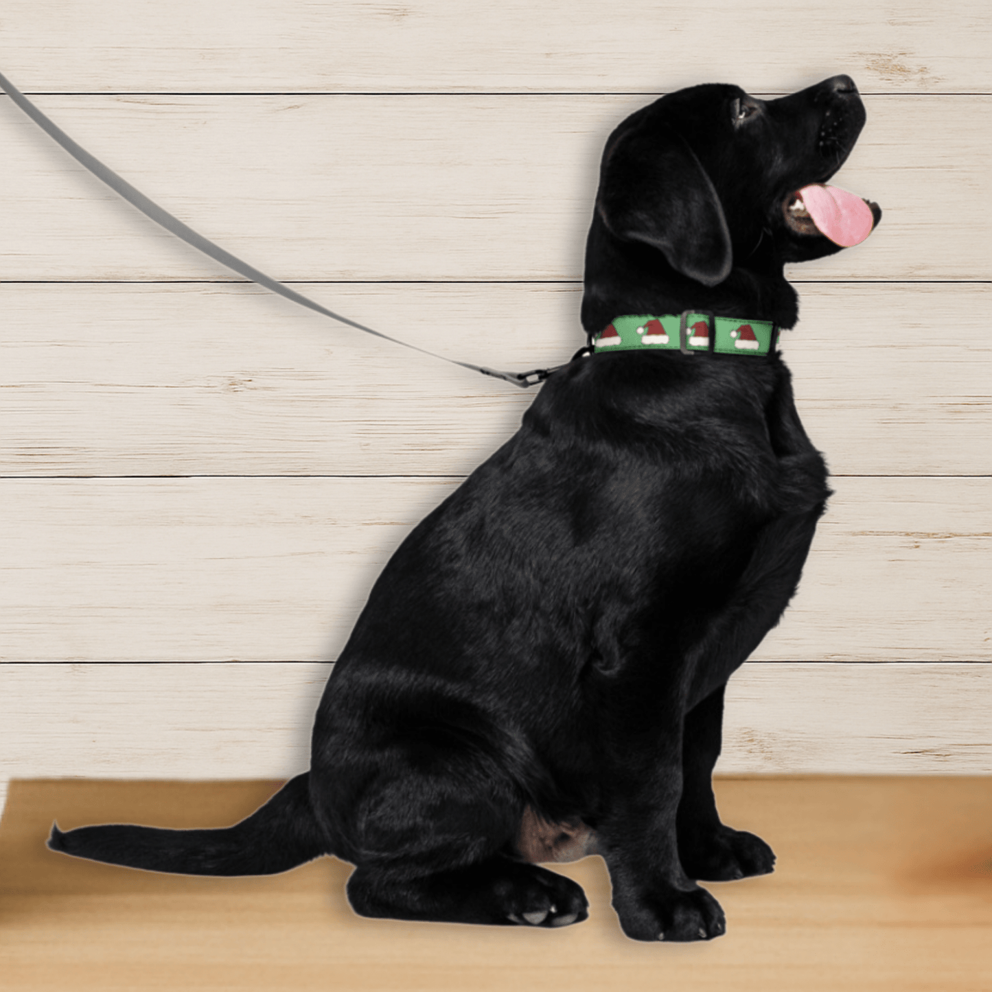 Santa Hat Dog Collar - Tailwags Unlimited