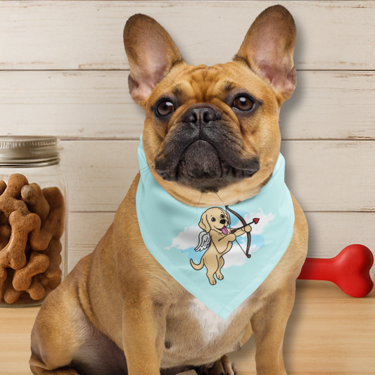 Cupup Blue Dog Bandana