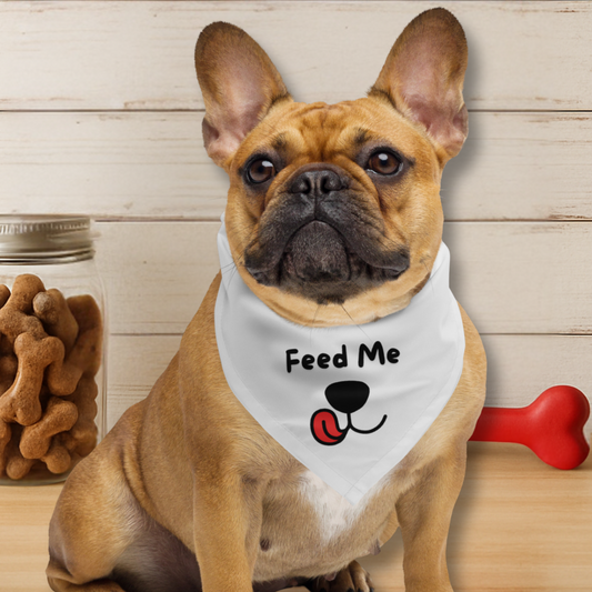 Feed Me Dog Bandana