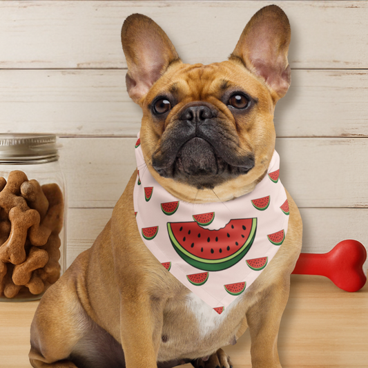 Watermelon Dog Bandana