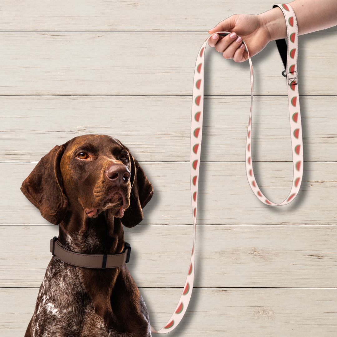 Watermelon Dog Leash