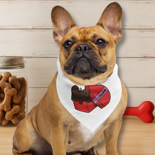 Box of Chocolates Dog Bandana