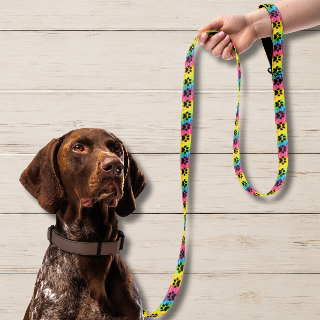 Tie-Dye Paw Print Dog Leash