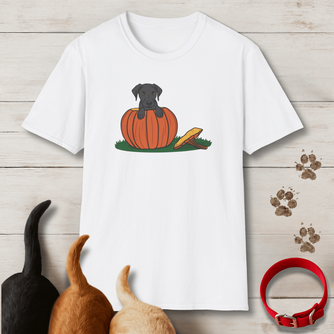 Pumpkin Pup T-Shirt - Tailwags Unlimited