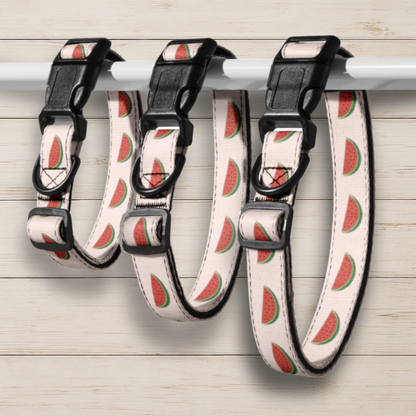 Watermelon Dog Collar