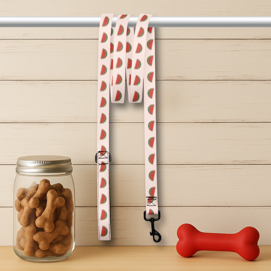 Watermelon Dog Leash