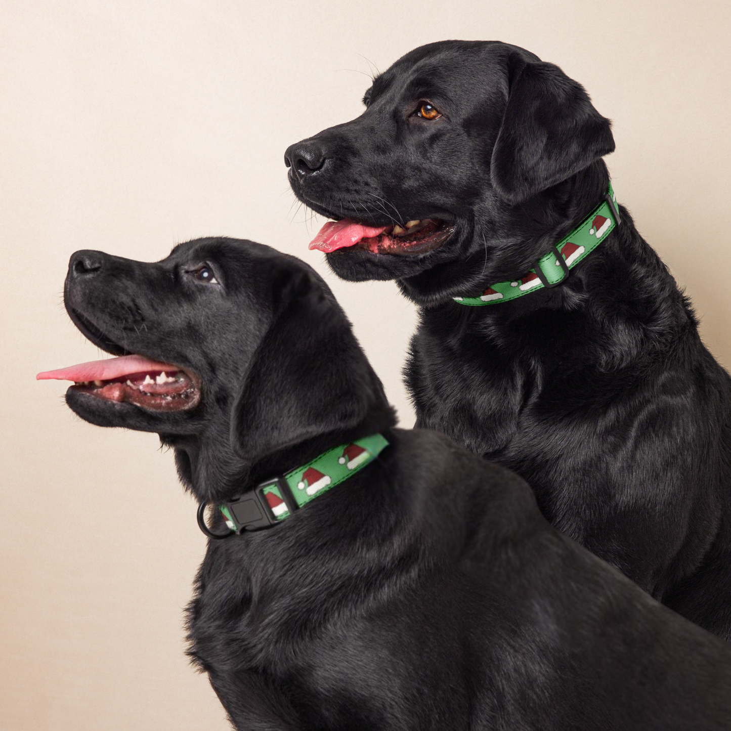 Santa Hat Dog Collar