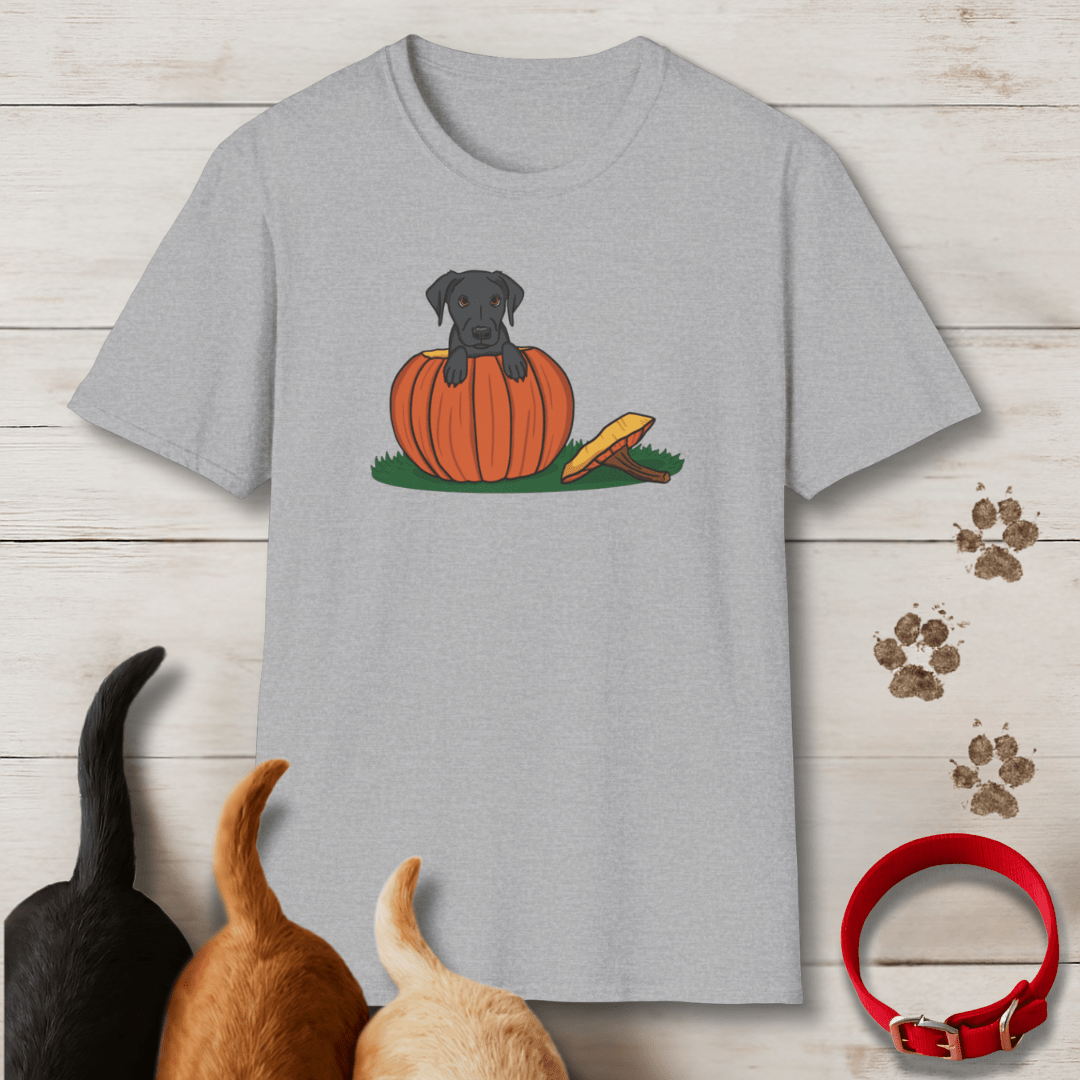 Pumpkin Pup T-Shirt - Tailwags Unlimited