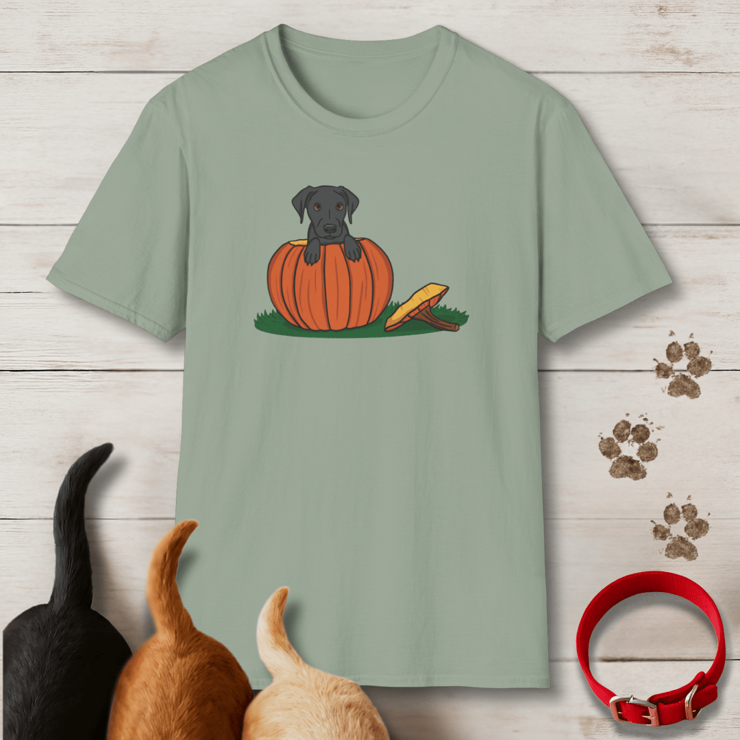 Pumpkin Pup T-Shirt - Tailwags Unlimited