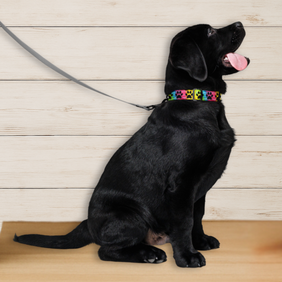 Tie-Dye Paw Print Dog Collar