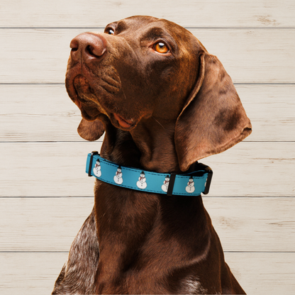 Snowman Dog Collar