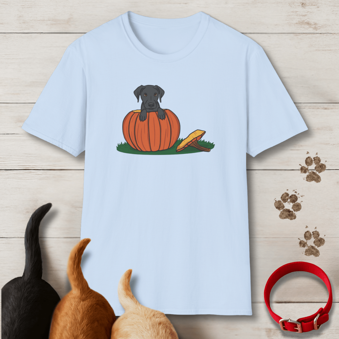 Pumpkin Pup T-Shirt - Tailwags Unlimited