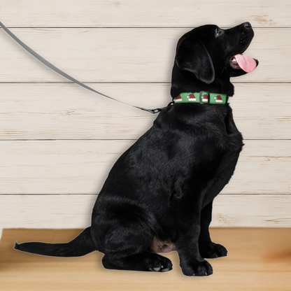Santa Hat Dog Collar
