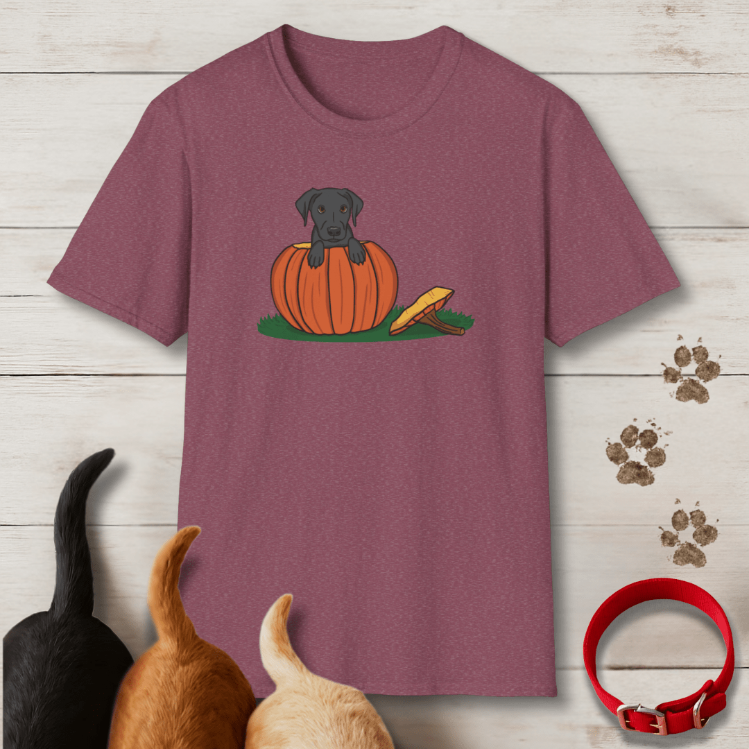 Pumpkin Pup T-Shirt - Tailwags Unlimited