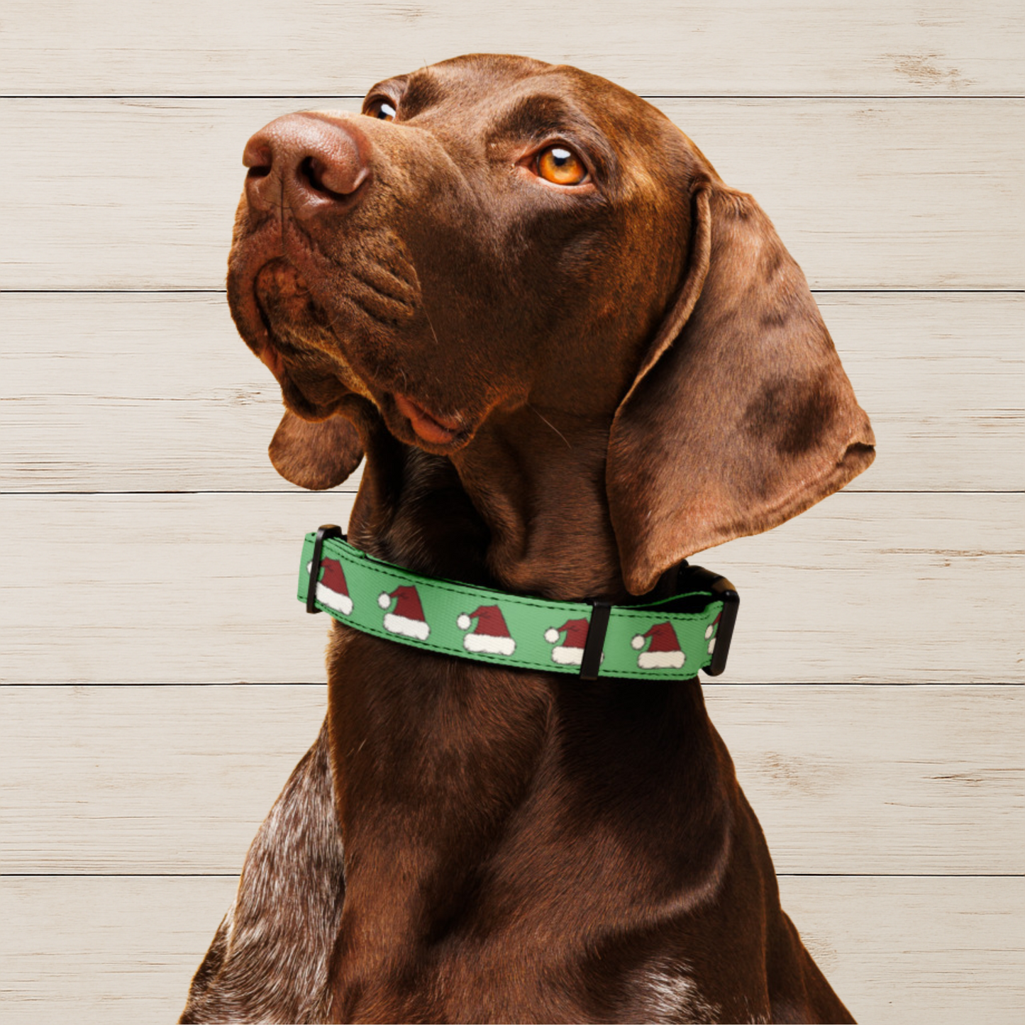 Santa Hat Dog Collar