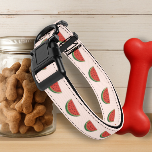 Watermelon Dog Collar