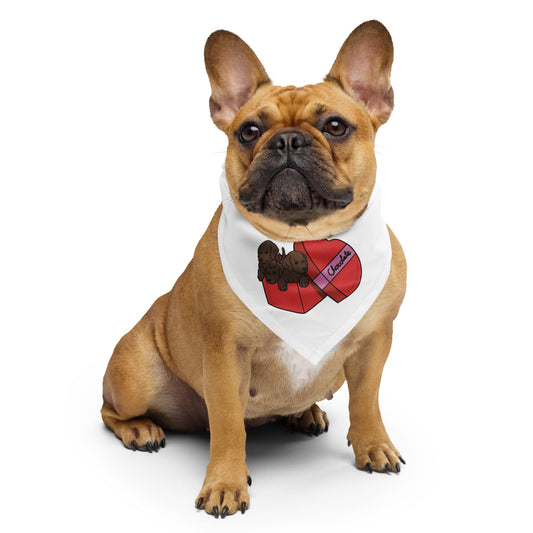 Box of Chocolates Dog Bandana - TAILWAGS UNLIMITED