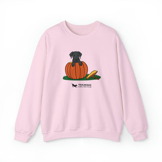 Pumpkin Pup Crewneck Sweatshirt - TAILWAGS UNLIMITED