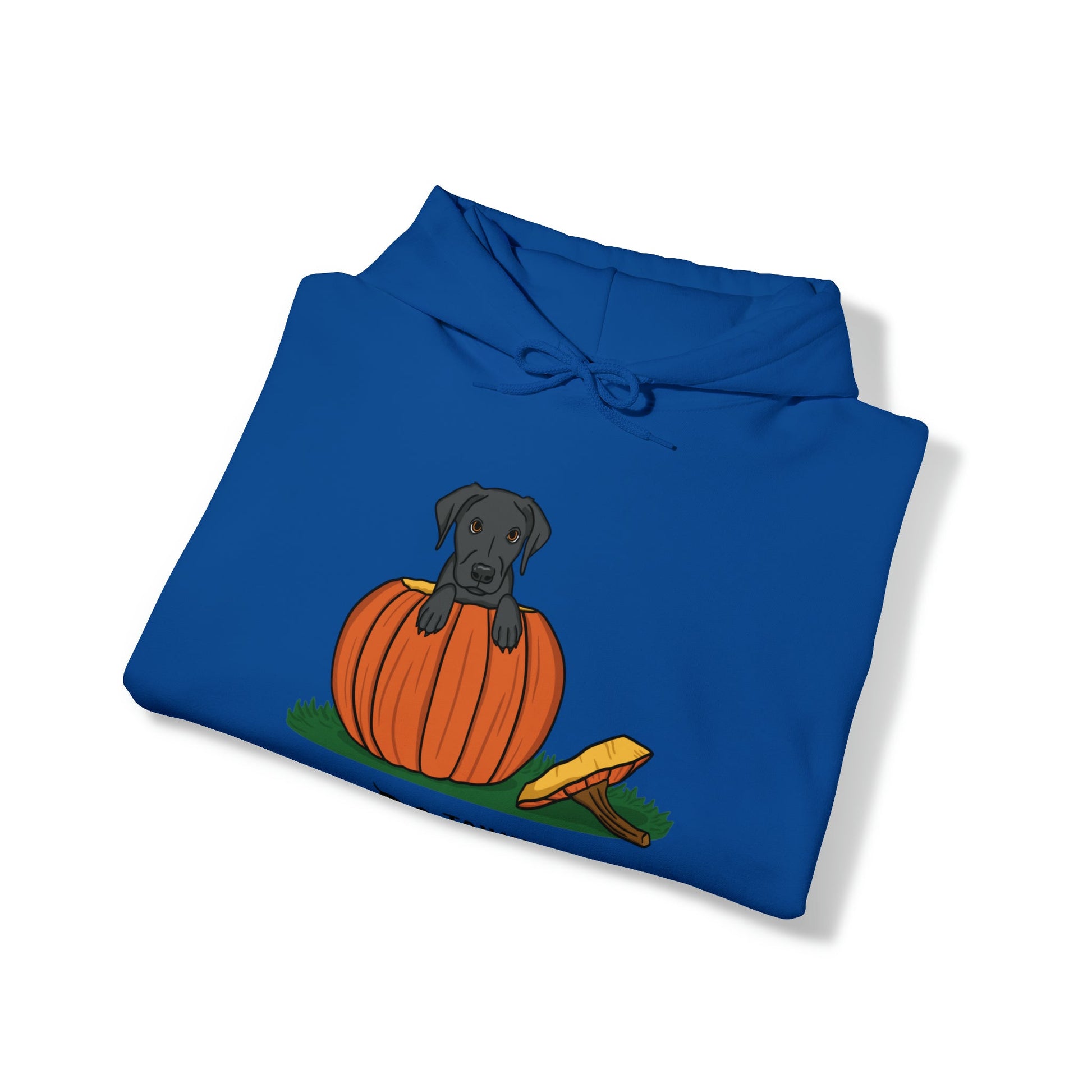 Pumpkin Pup Hoodie - TAILWAGS UNLIMITED