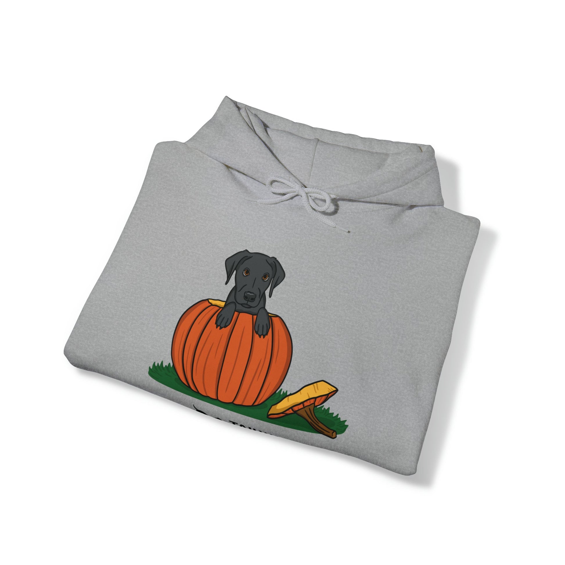 Pumpkin Pup Hoodie - TAILWAGS UNLIMITED