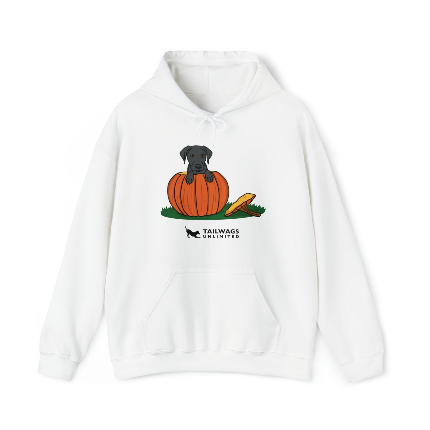 Pumpkin Pup Hoodie - TAILWAGS UNLIMITED