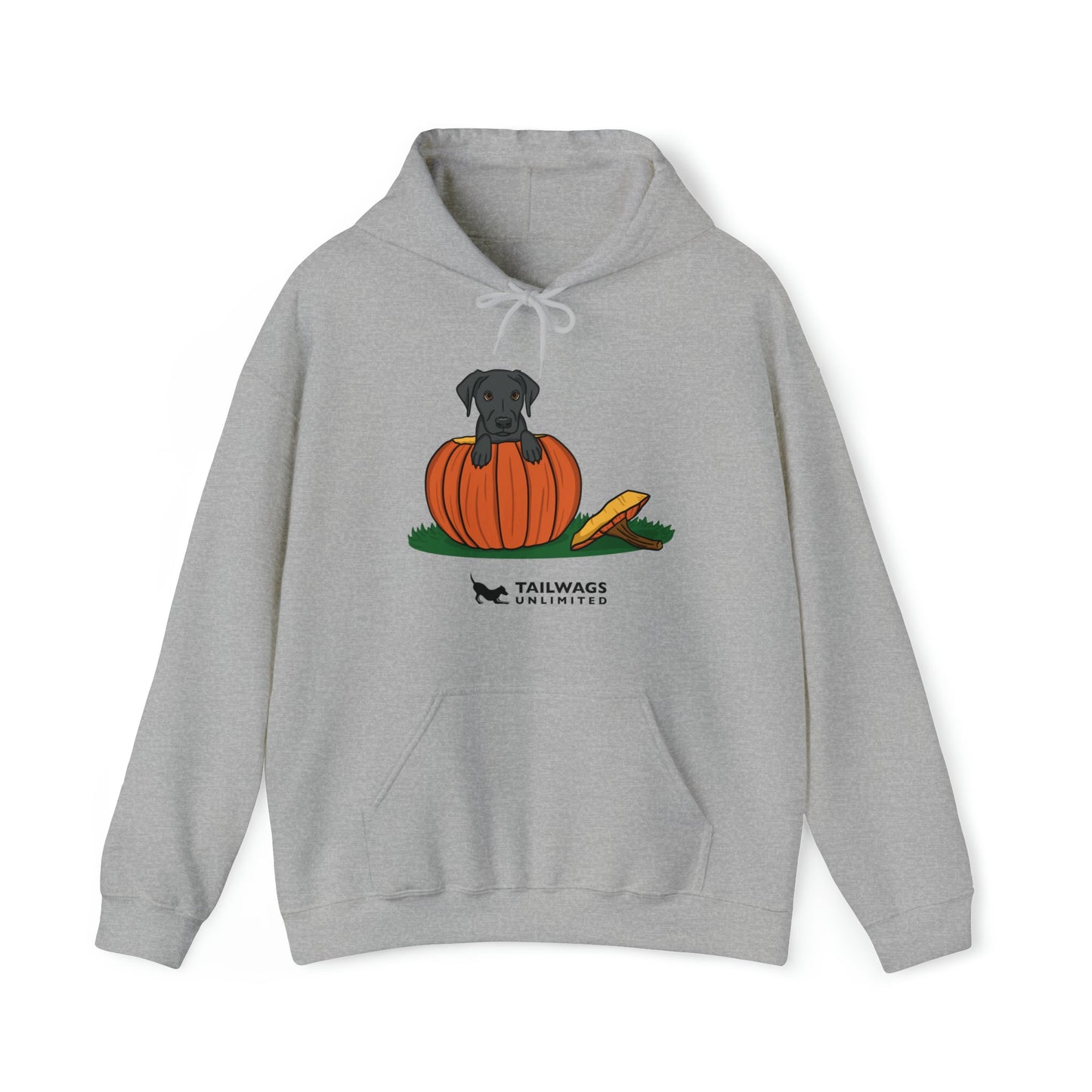 Pumpkin Pup Hoodie - TAILWAGS UNLIMITED