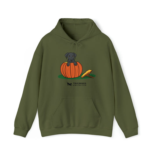 Pumpkin Pup Hoodie - TAILWAGS UNLIMITED