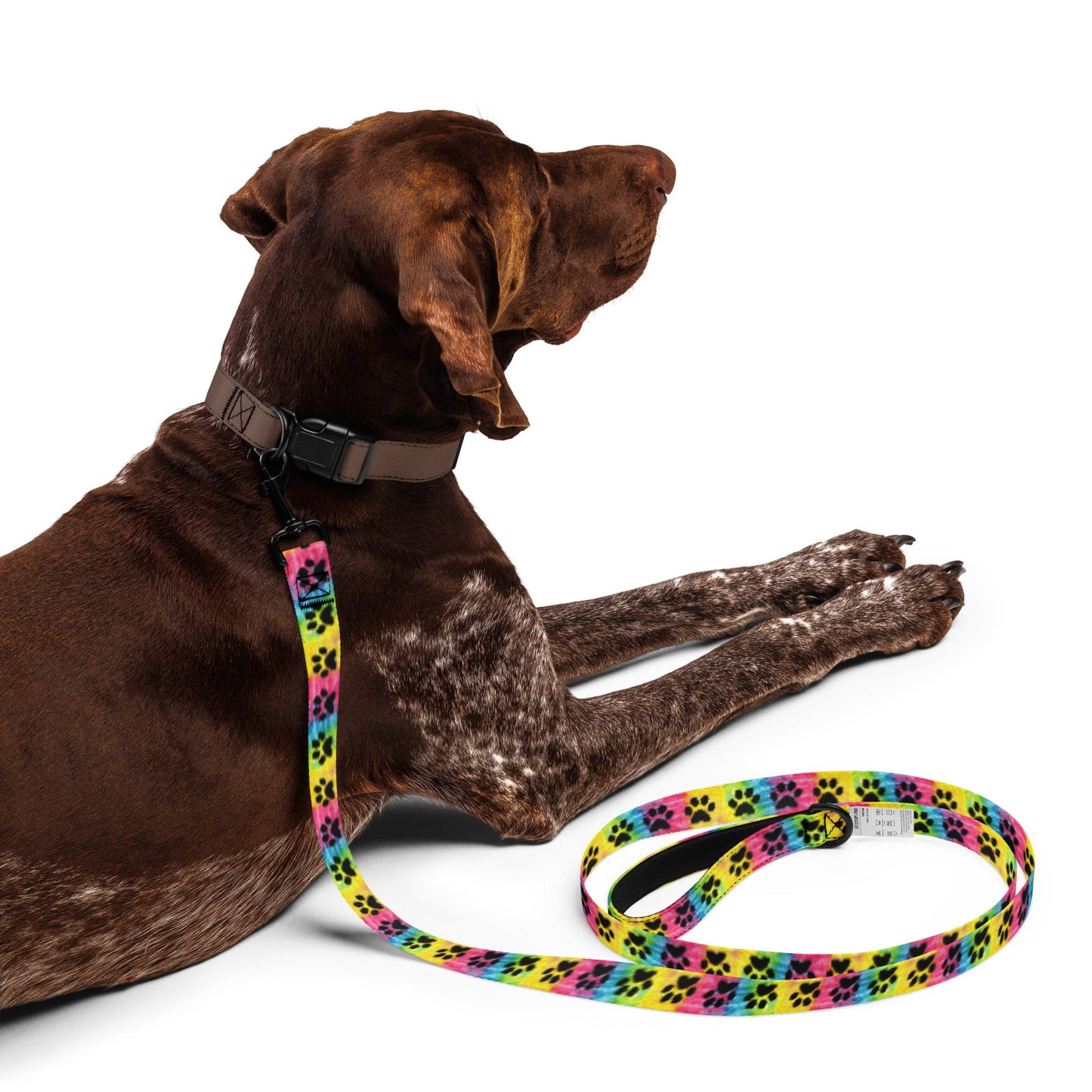 Tie Dye Paw Print Dog Leash - TAILWAGS UNLIMITED