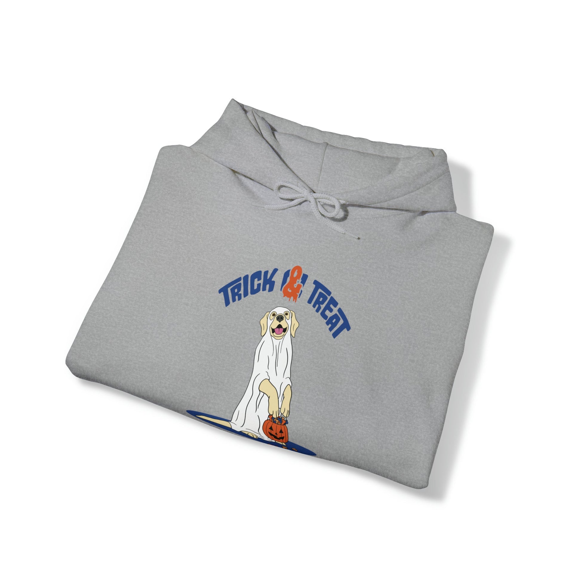 Trick & Treat Hoodie - TAILWAGS UNLIMITED