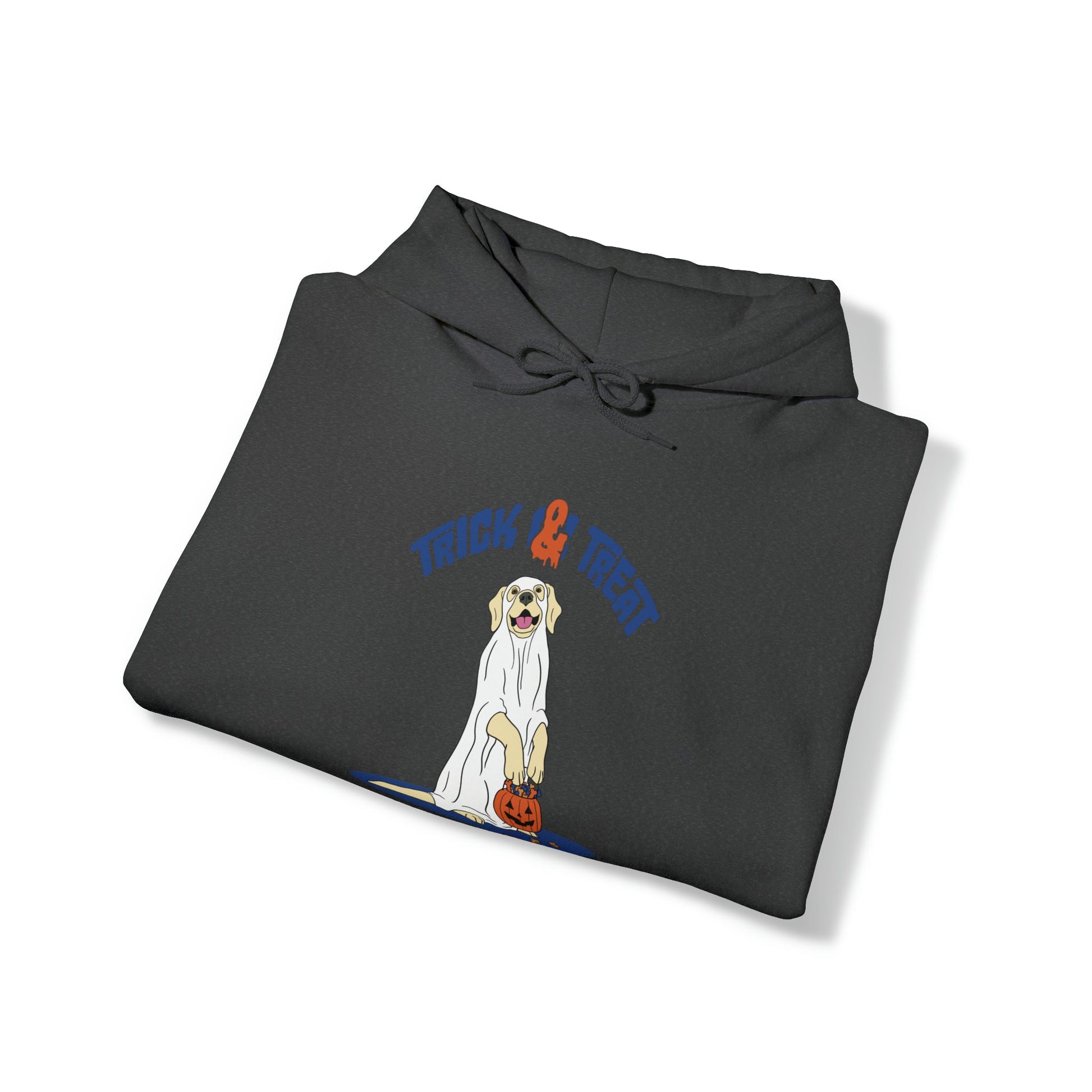 Trick & Treat Hoodie - TAILWAGS UNLIMITED