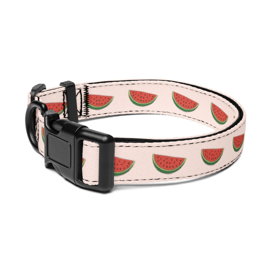 Watermelon Slice Dog Collar - TAILWAGS UNLIMITED