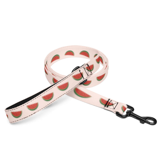 Watermelon Slice Dog Leash - TAILWAGS UNLIMITED